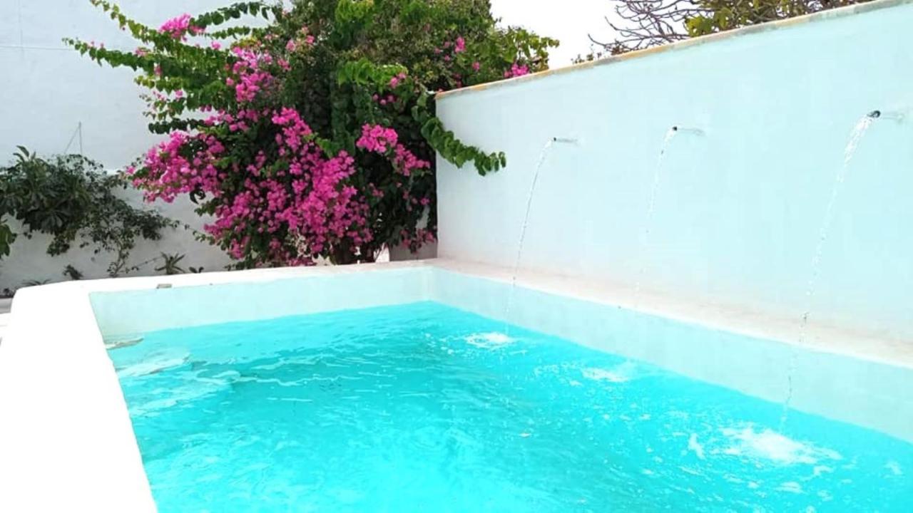 Buganvillas, Relax Con Piscina Privada A Pocos Minutos De La Barrosa Y Santi Petri